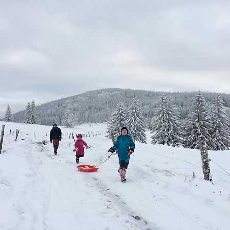 Chata Waliszow Nowy Waliszow 외부 사진