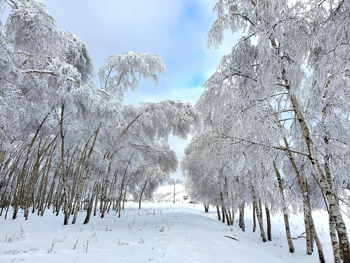 Chata Waliszow Nowy Waliszow 외부 사진
