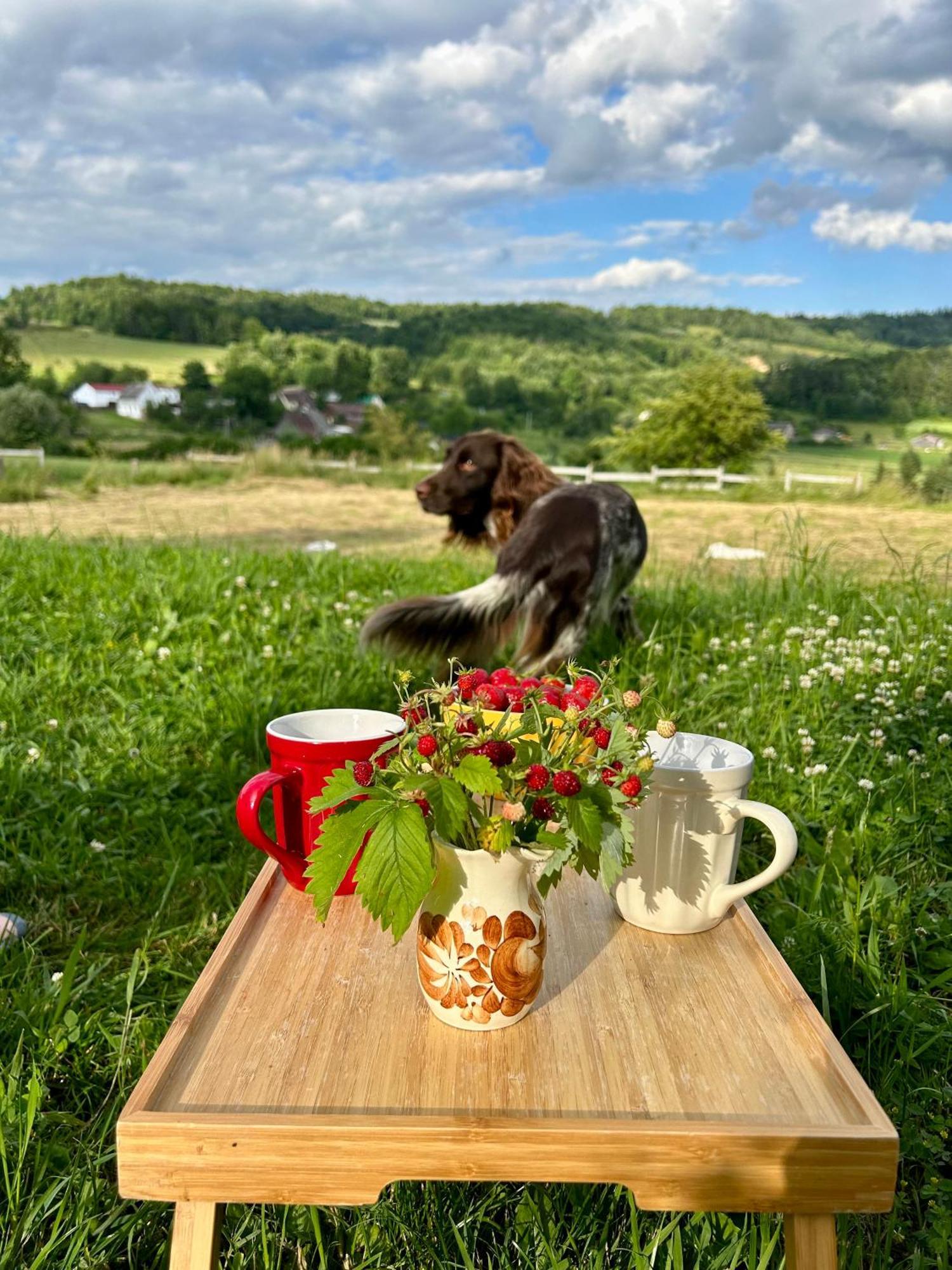 Chata Waliszow Nowy Waliszow 외부 사진