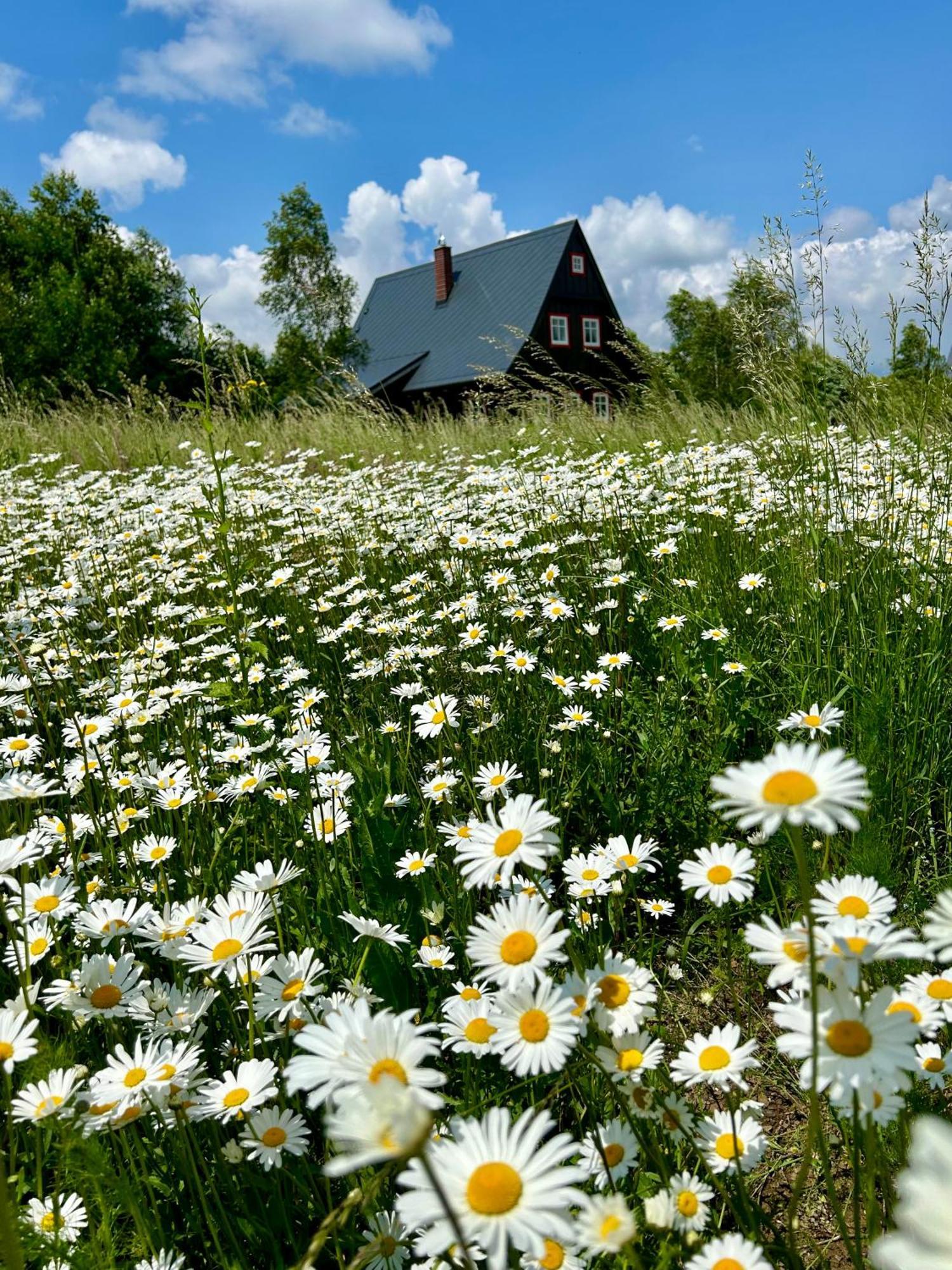 Chata Waliszow Nowy Waliszow 외부 사진
